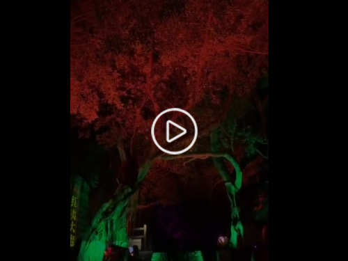 厦门胡里山炮台视频